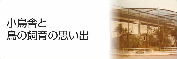 小鳥舎と鳥の飼育の思い出