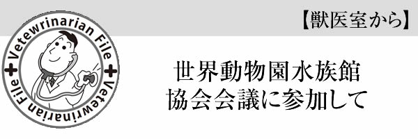 世界動物園水族館協会会議に参加して