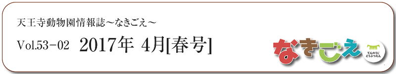 天王寺動物園「なきごえ」WEB版 2017.4月[春号]