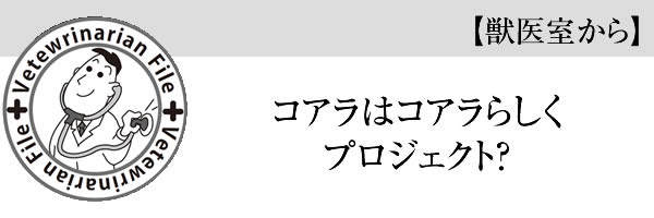 コアラはコアラらしくプロジェクト？