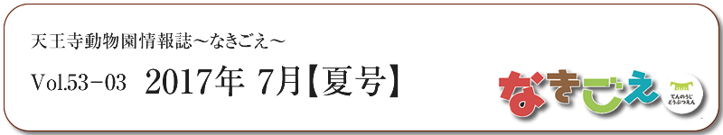 天王寺動物園「なきごえ」WEB版 2017.7月[夏号]