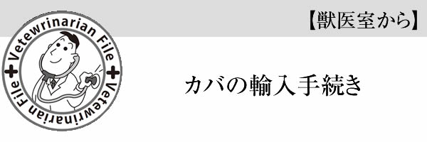 カバの輸入手続き