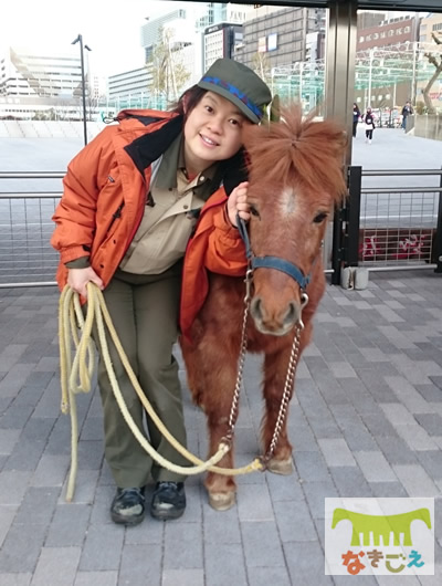 野間馬の福ちゃんと