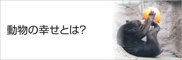 動物の幸せとは？