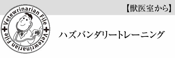 ハズバンダリートレーニング