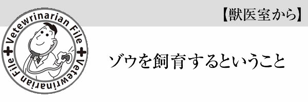 ゾウを飼育するということ