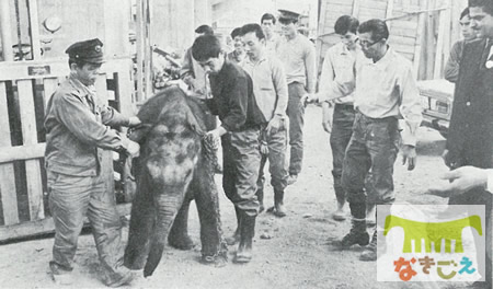 さぁ！仮収容舎に行こう。

（写真：「なきごえ」1970年6月号より）
