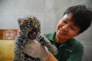 元天王寺動物園・技能統括主任
三浦正明さん