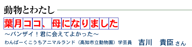 葉月ココ、母になりました