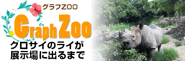 クロサイのライが展示場に出るまで