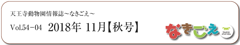 なきごえ　2018年11月号 Vol.54-04