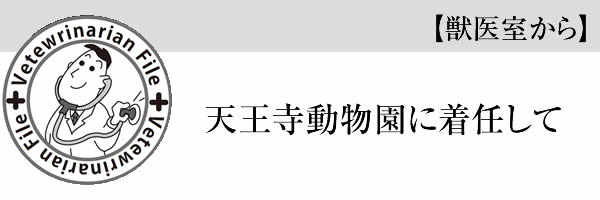 天王寺動物園に着任して