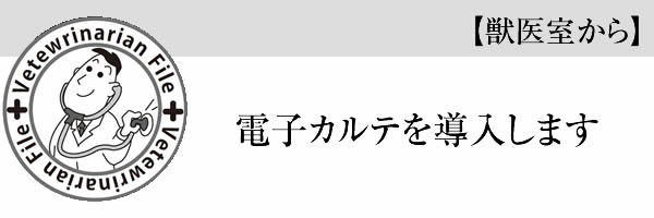 電子カルテを導入します