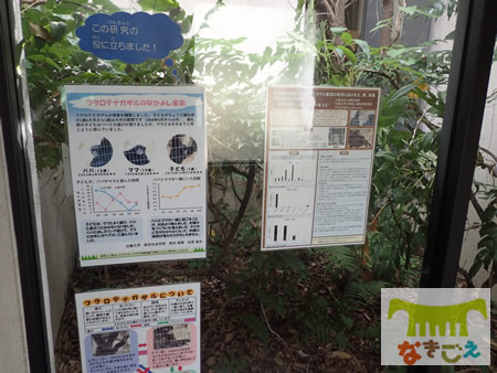 ZIMSの開発会議の様子です。システム開発には、天王寺動物園も協力しました。