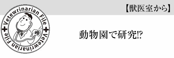 動物園で研究！？