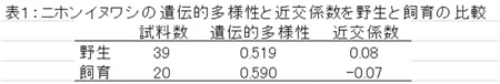 飼育下のニホンイヌワシ