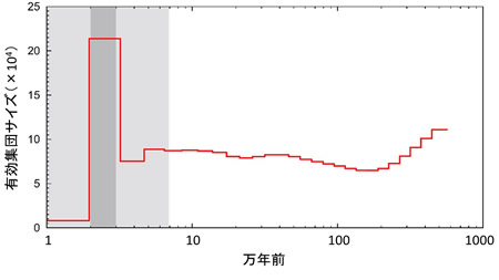 図１：ニホンイヌワシの過去の有効集団サイズの変遷
図中の灰色の期間が最終氷期、濃い灰色が最も寒かった期間
