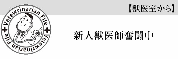 新人獣医師奮闘中