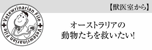 オーストラリアの動物たちを救いたい！