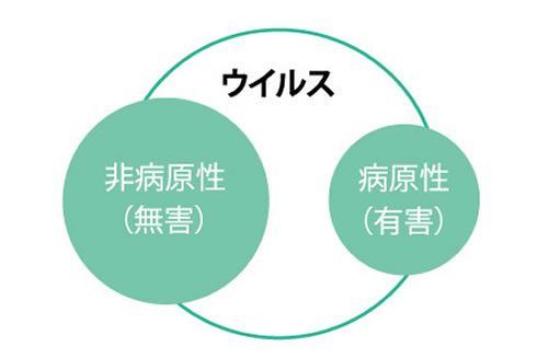 想定される新型コロナウイルス感染症の感染経路