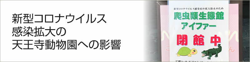 新型コロナウイルス感染拡大の天王寺動物園への影響