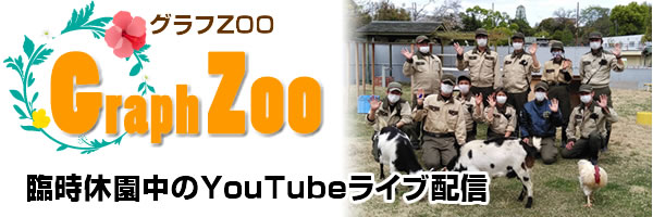 【グラフZOO】臨時休園中のYouTubeライブ配信