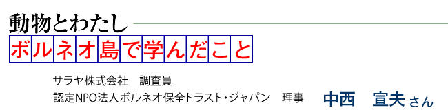 ボルネオ島で学んだこと