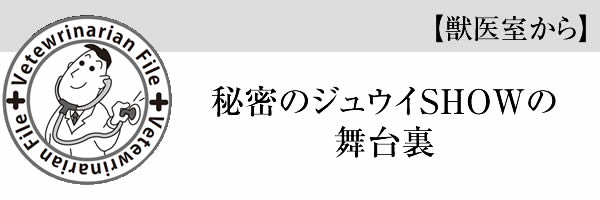 秘密のジュウイSHOWの舞台裏