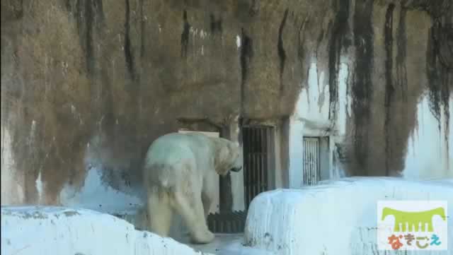 寝室の中を気にするゴーゴ