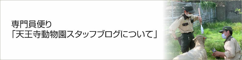 専門員便り「天王寺動物園スタッフブログについて」