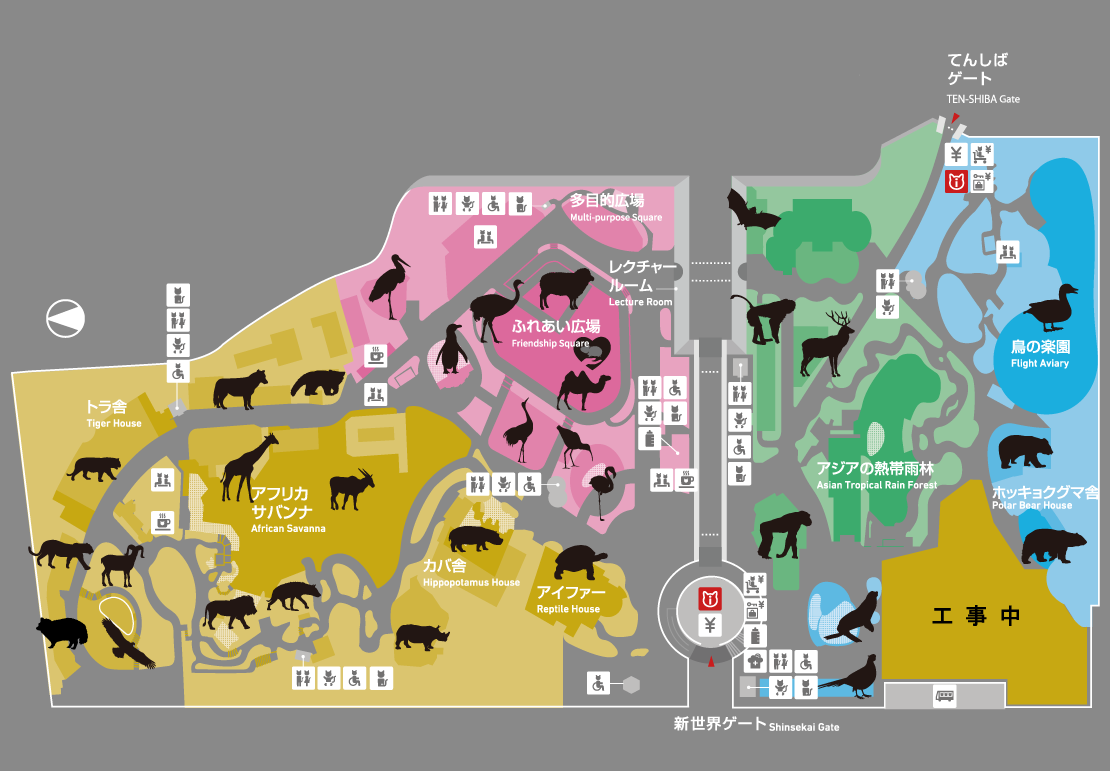 動物図鑑 地方独立行政法人 天王寺動物園