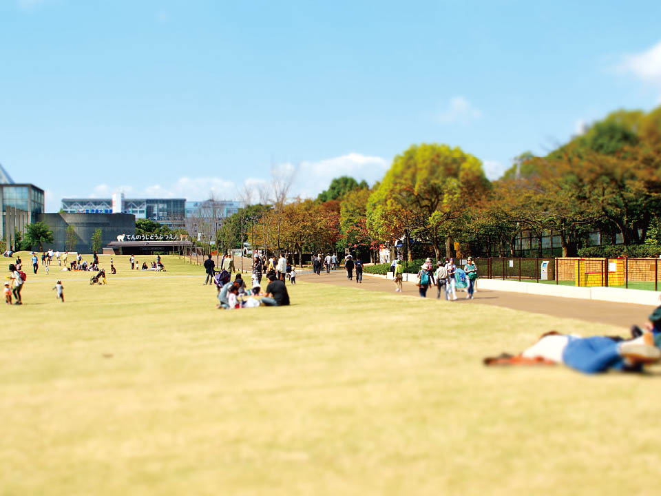 てんしば