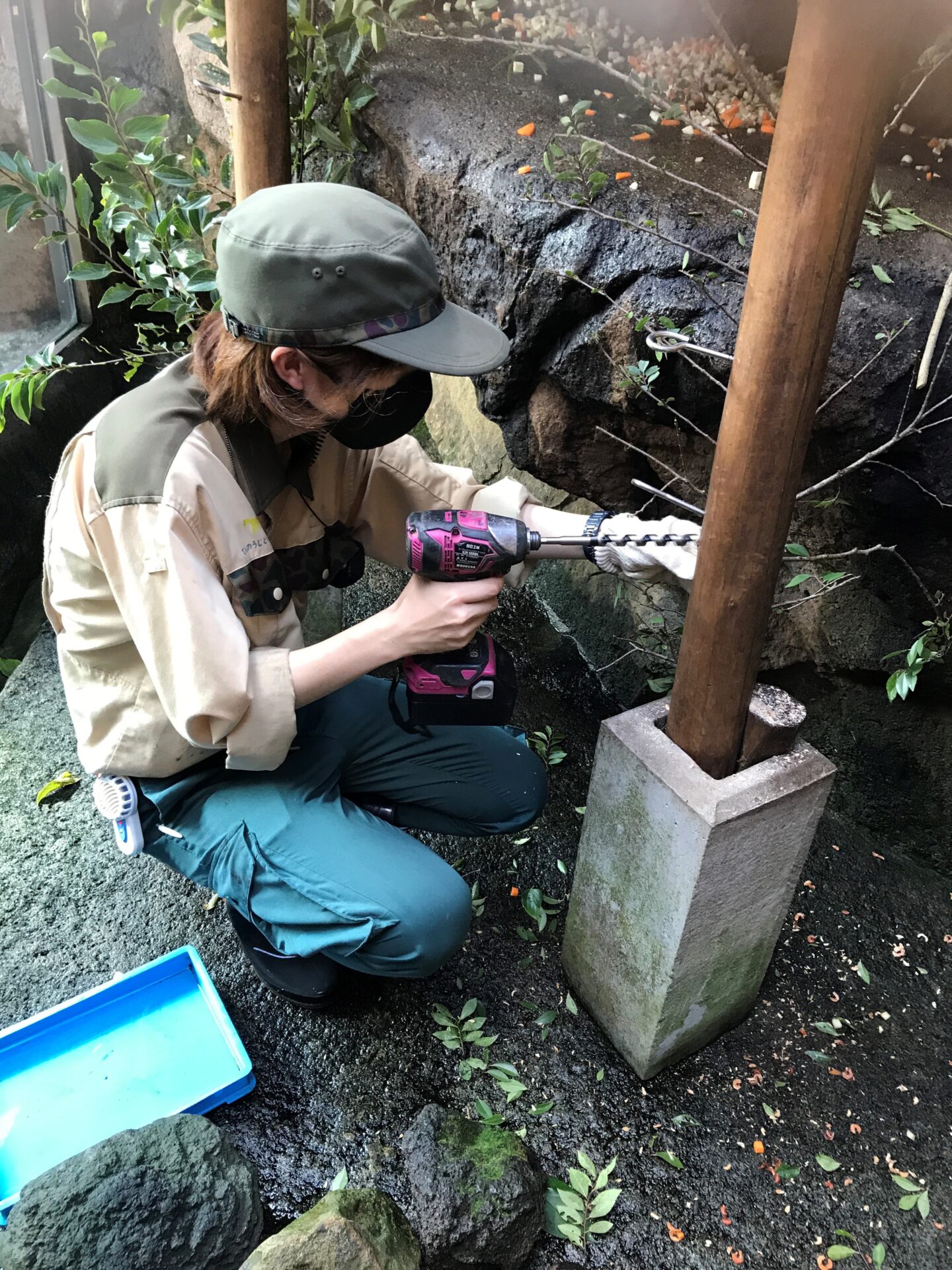 若手動物飼育専門員　坪谷　作業中です