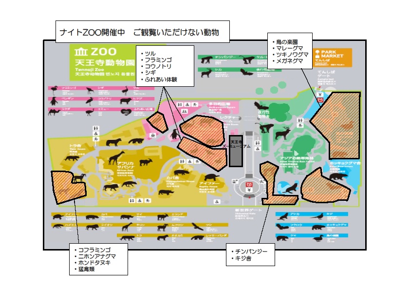 秋の夜は動物園へ 天王寺動物園 21秋のナイトzoo 地方独立行政法人 天王寺動物園