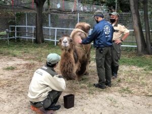 ジャックの治療のようす