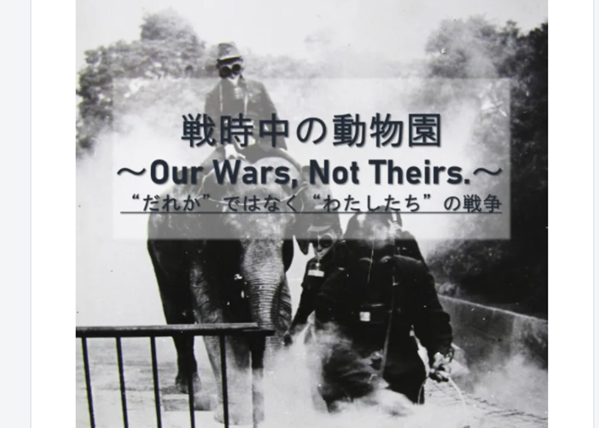 企画展「戦時中の動物園」を開催し、平和や命の尊さを発信