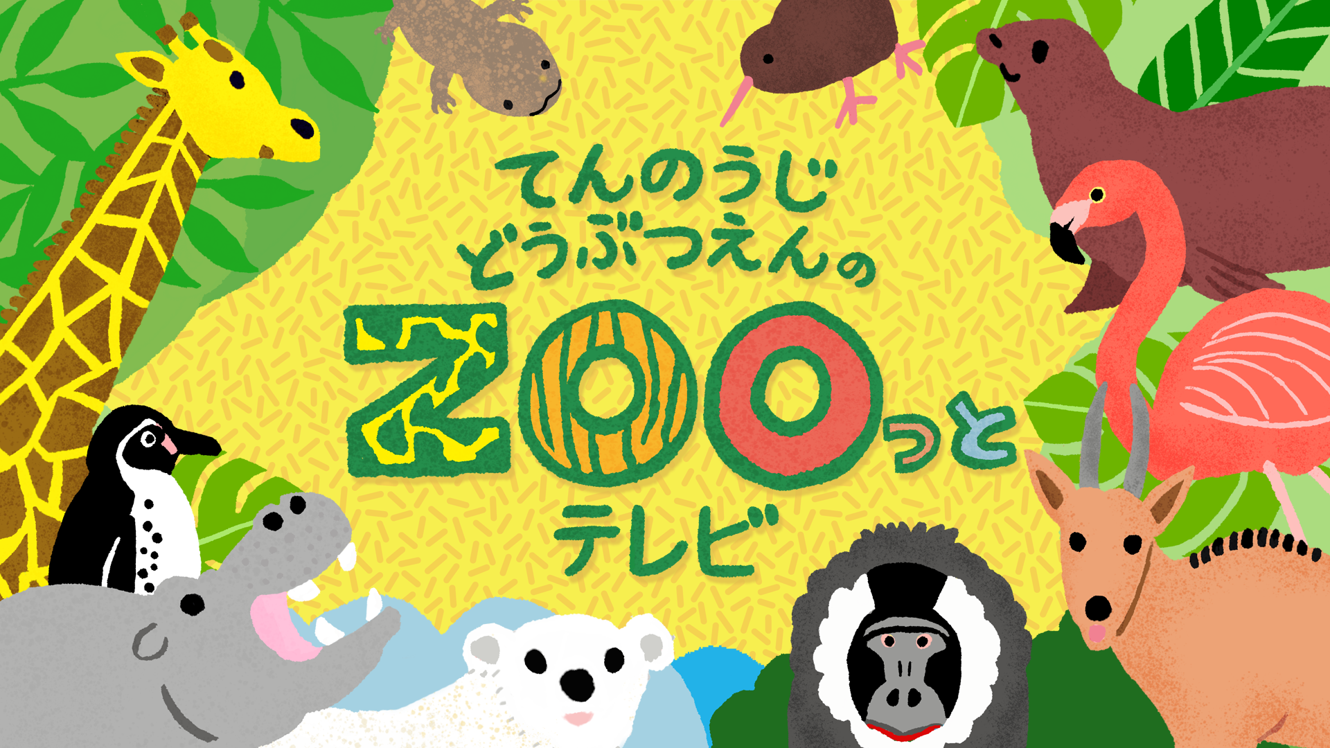 てんのうじどうぶつえんのzooっとテレビ 関西全域の J Comチャンネル で7月3日 日曜日 より放送スタートします 地方独立行政法人 天王寺動物園