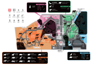 天王寺動物園 2022夏のナイトzooを実施します 地方独立行政法人 天王寺動物園 天王寺動物園 2022夏のナイトzooを実施します 地方独立行政法人 天王寺動物園
