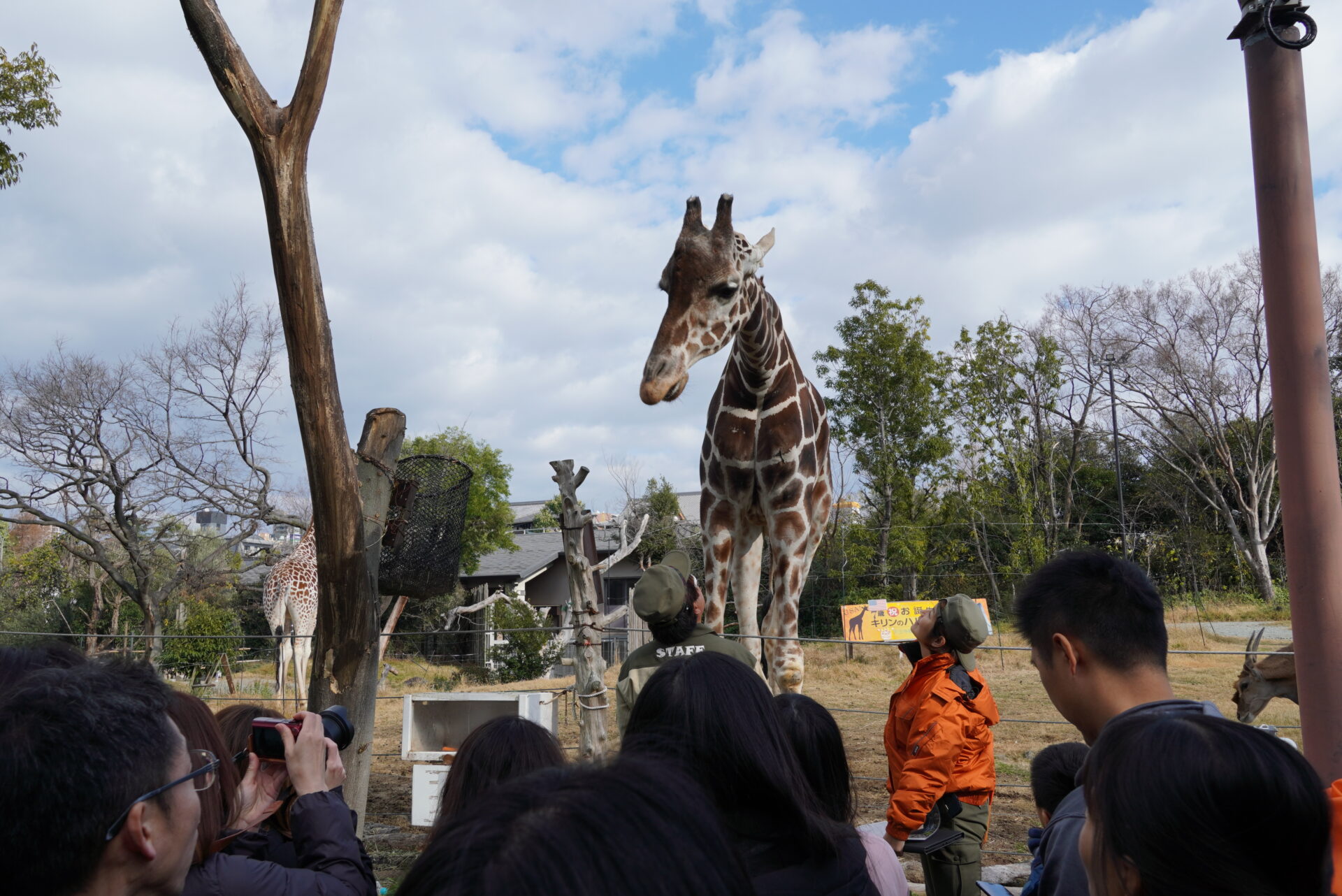 「飼育の日」イベントを開催します | 地方独立行政法人天王寺動物園