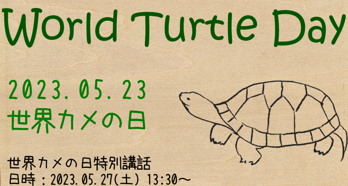 毎年5月23日は「世界カメの日(world turtle day)」です🐢