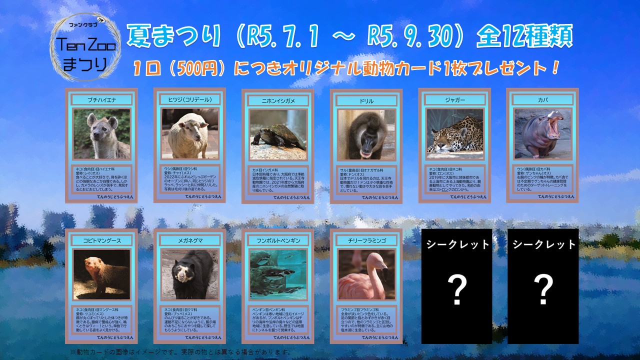 ファンクラブプチ 夏の「TenZooまつり」動物カードのシークレットは 