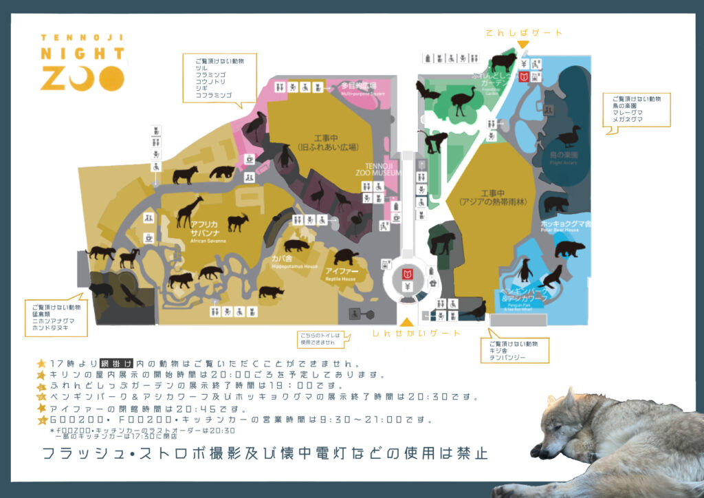 天王寺動物園 2023夏のナイトZOOを実施します | 地方独立行政法人天王寺動物園