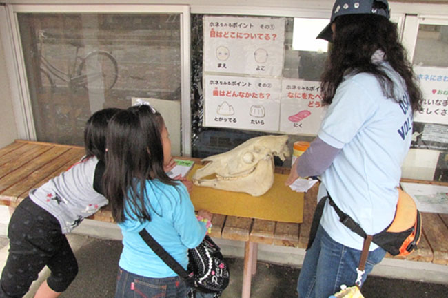 大阪動物園ボランティアーズ