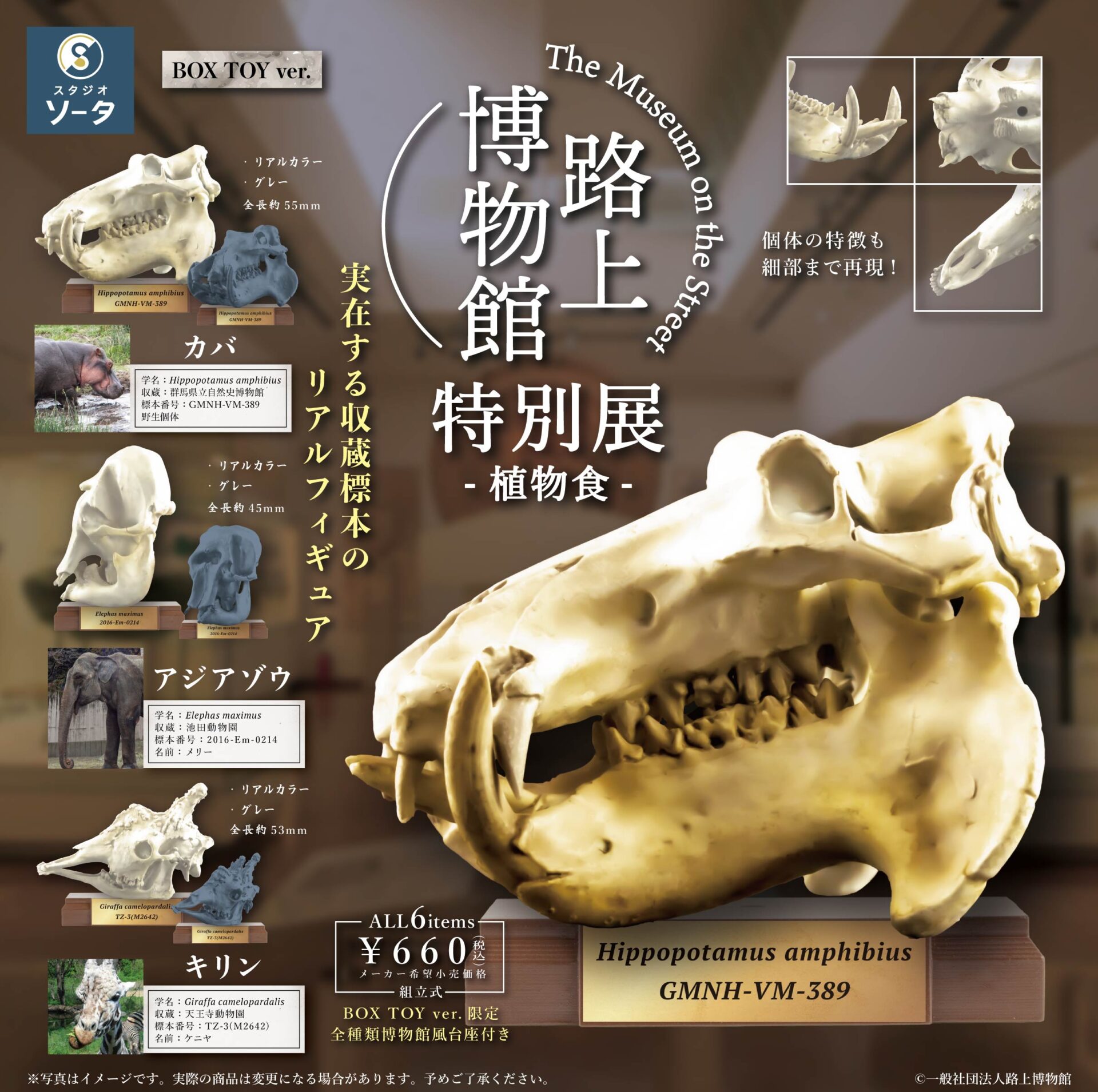 天王寺動物園×路上博物館の第2弾コラボ | 地方独立行政法人天王寺動物園