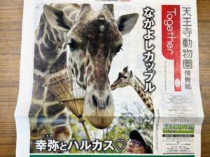 天王寺動物園情報誌Together キリンの幸弥とハルカス