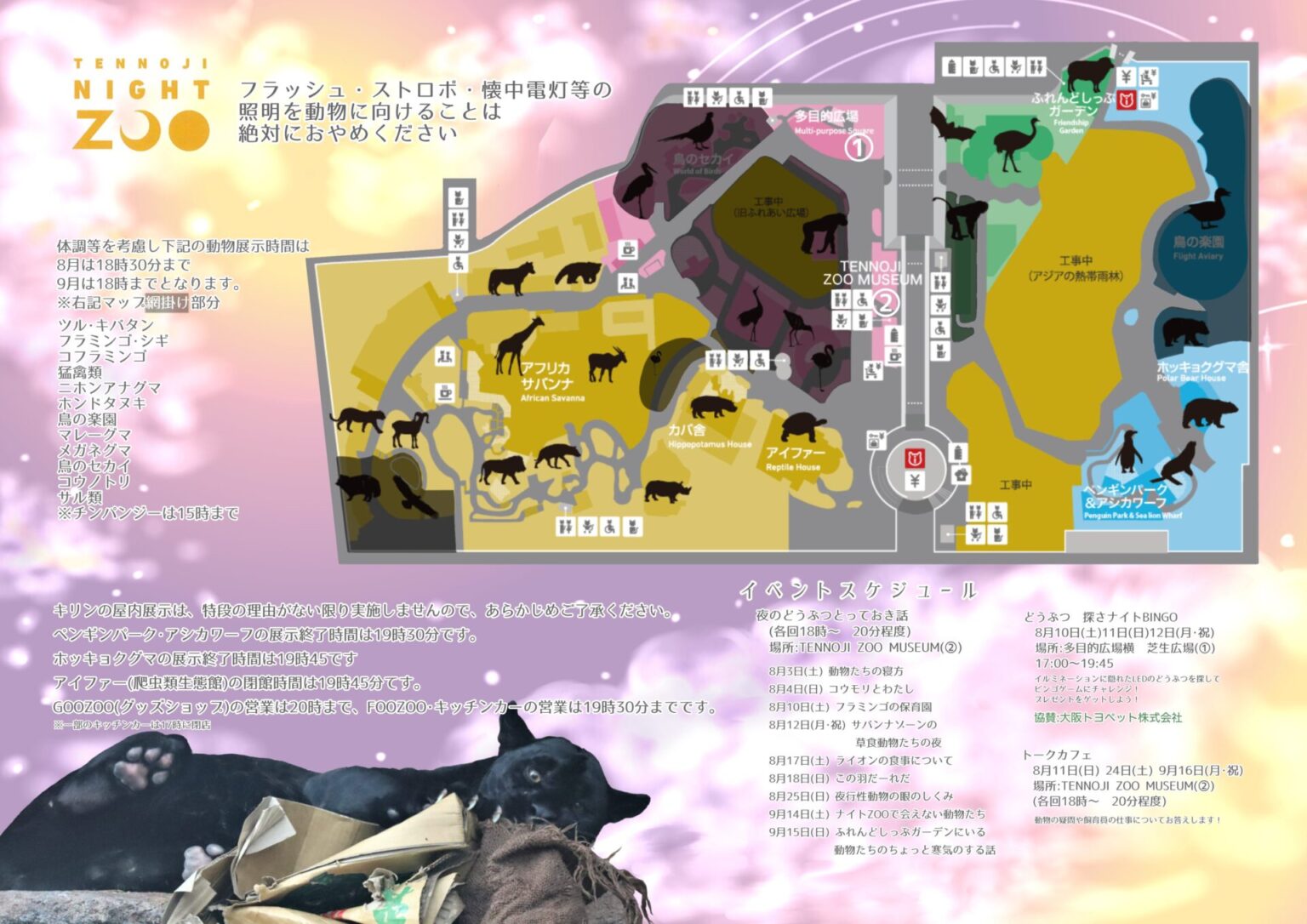 天王寺動物園 2024ナイトZOOを実施します! | 地方独立行政法人天王寺動物園