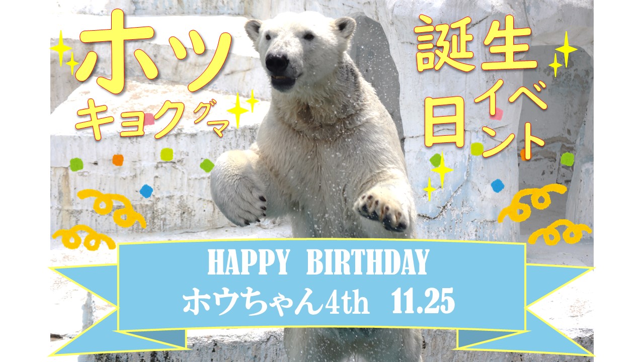 事前申込（抽選）制】「ホッキョクグマ誕生日イベント」を実施します 