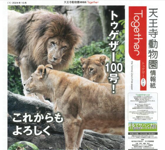 天王寺動物園情報紙Together100号の表紙は、ライオンのガオウ、ルナ、モナカ