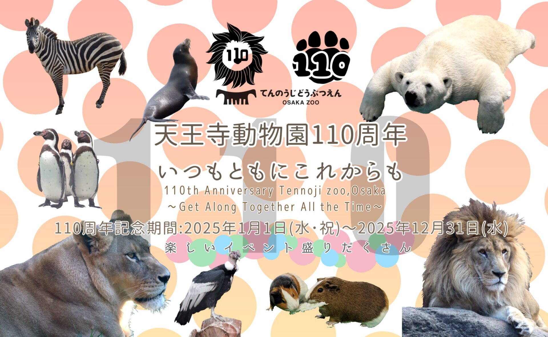FUJI SAFARI PARK】サファリパーク ステッカー 1997（春）｜シール 