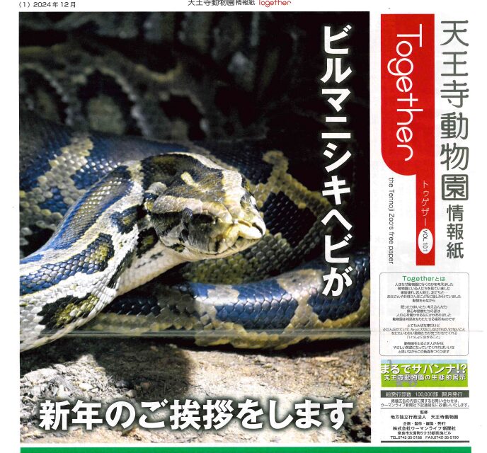 天王寺動物園情報紙Together100号表紙ビルマニシキヘビ